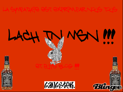 lache ton n'adress