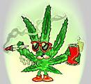        ganja man
